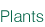 Plantscaping Solutions - Design Service